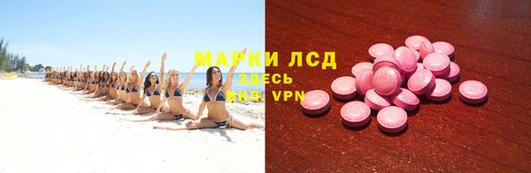 прущие грибы Володарск