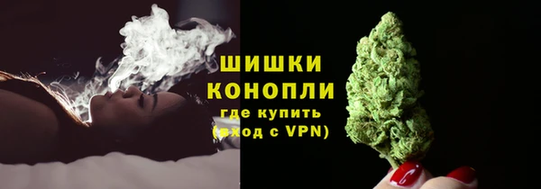 мдпв Волосово