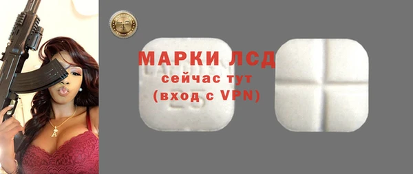 прущие грибы Володарск