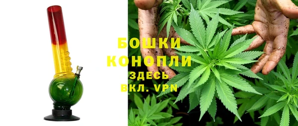 мдпв Волосово